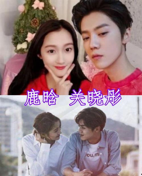 鹿晗承认恋情明星回复,明星圈反响热烈，纷纷发声支持