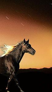 马的背景音乐,悠扬旋律下的传奇故事