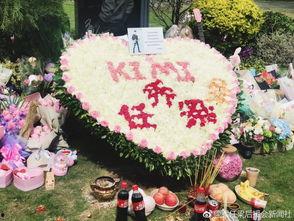 kimi死了的照片,永恒定格的悲痛瞬间