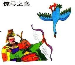 惊弓之鸟图片,揭秘鸟类应激反应的瞬间